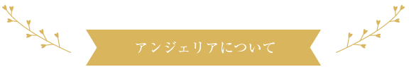 アンジェリアについて詳しく見る
